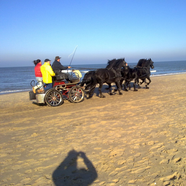 Foto Pferdekutsche am Strand, dahinter das Meer und blauer Himmel